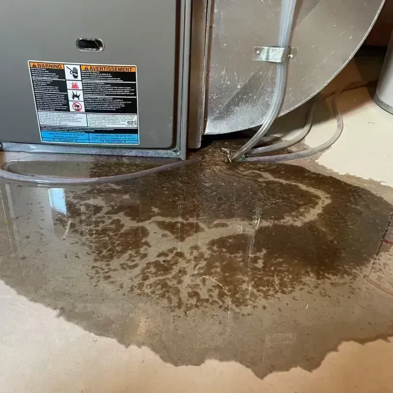 Appliance Leak Cleanup in Carroll County, MO